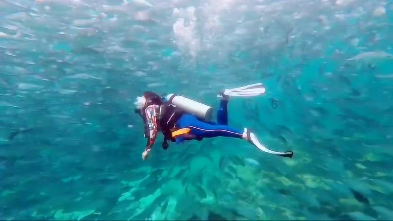 继子女落户继父天津户口需要什么资料?-知识星球平台